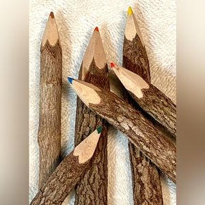 Six Oversized Colored Bark Pencils For Craft DIY Jewelry Decorative Props Unique